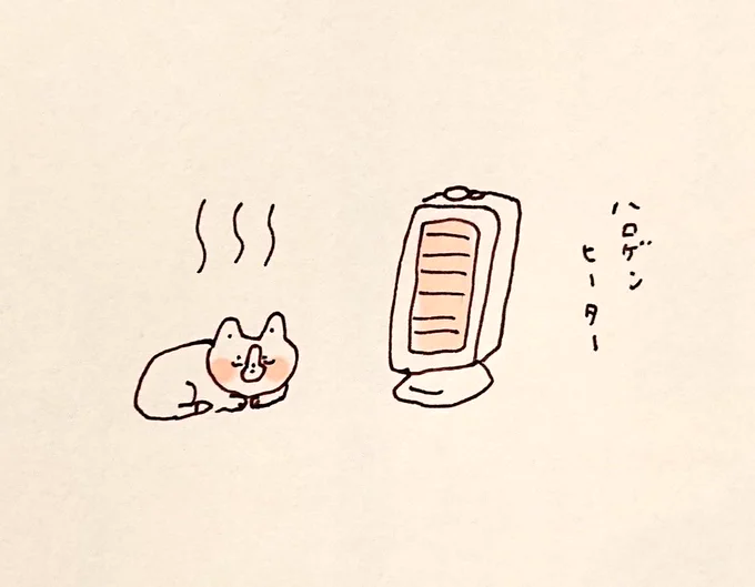 チッチワワ 