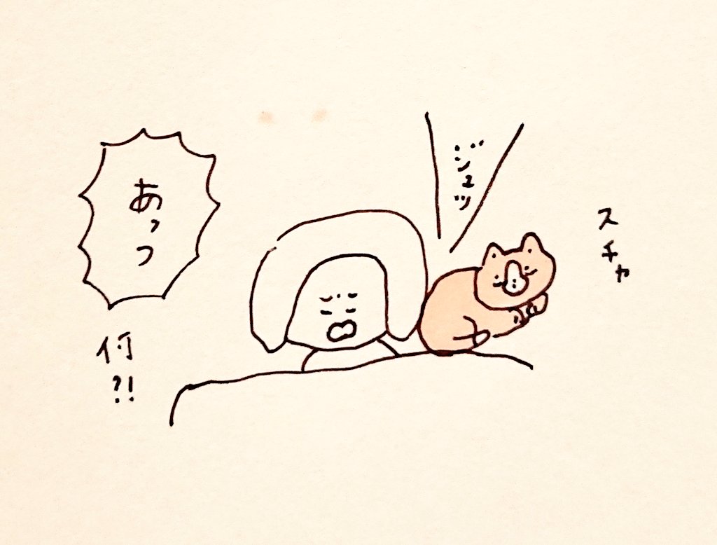 チッチワワ 