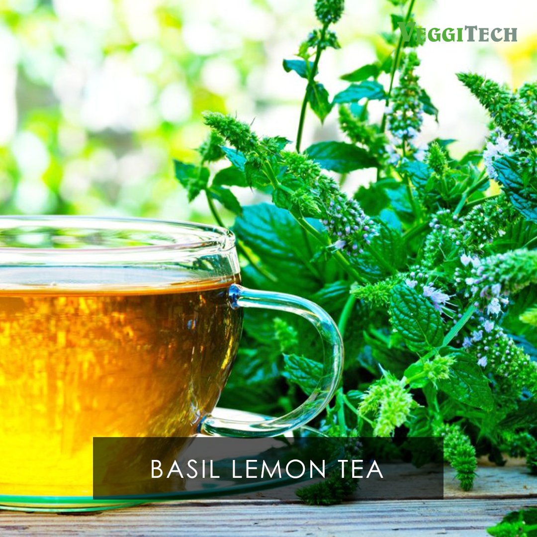 veggitech's tweet photo. Imagine being able to tackle stress, anxiety, and inflammation with a relaxing cup of tea made with the leaves of lemon basil. As an adaptogen with anti-inflammatory and antioxidant properties, lemon basil provides all these benefits.
#veggitech #teainfusion #cinnamonbasil https://t.co/zx3bhGW2up