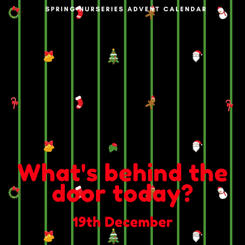 SpringChildcare's tweet photo. Have you learned new songs this year? What is your favourite Christmas carol? We love when Santa got stuck up the chimney ... make sure you check it out! 🎅🏼
https://t.co/t1AK21gpv1
#springnurseries https://t.co/5zxqQcZLma