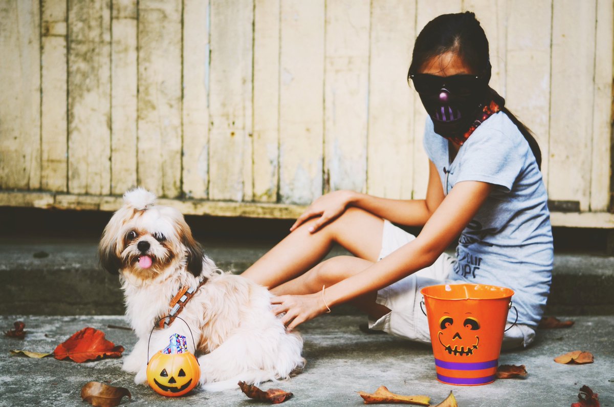 Jampotsx's tweet photo. Ohai, @jimbacarro &amp; @saabmagalona. We roam the galaxy together, my little Trooper and I.

I'm super introverted, never take my photos alone, for my love of Star Wars, I did this many moons ago for fun! Had to give him lotsa treats for this!

#GlobeStarWars  #WakeUpWithJimAndSaab https://t.co/Yj4EK6gxMJ