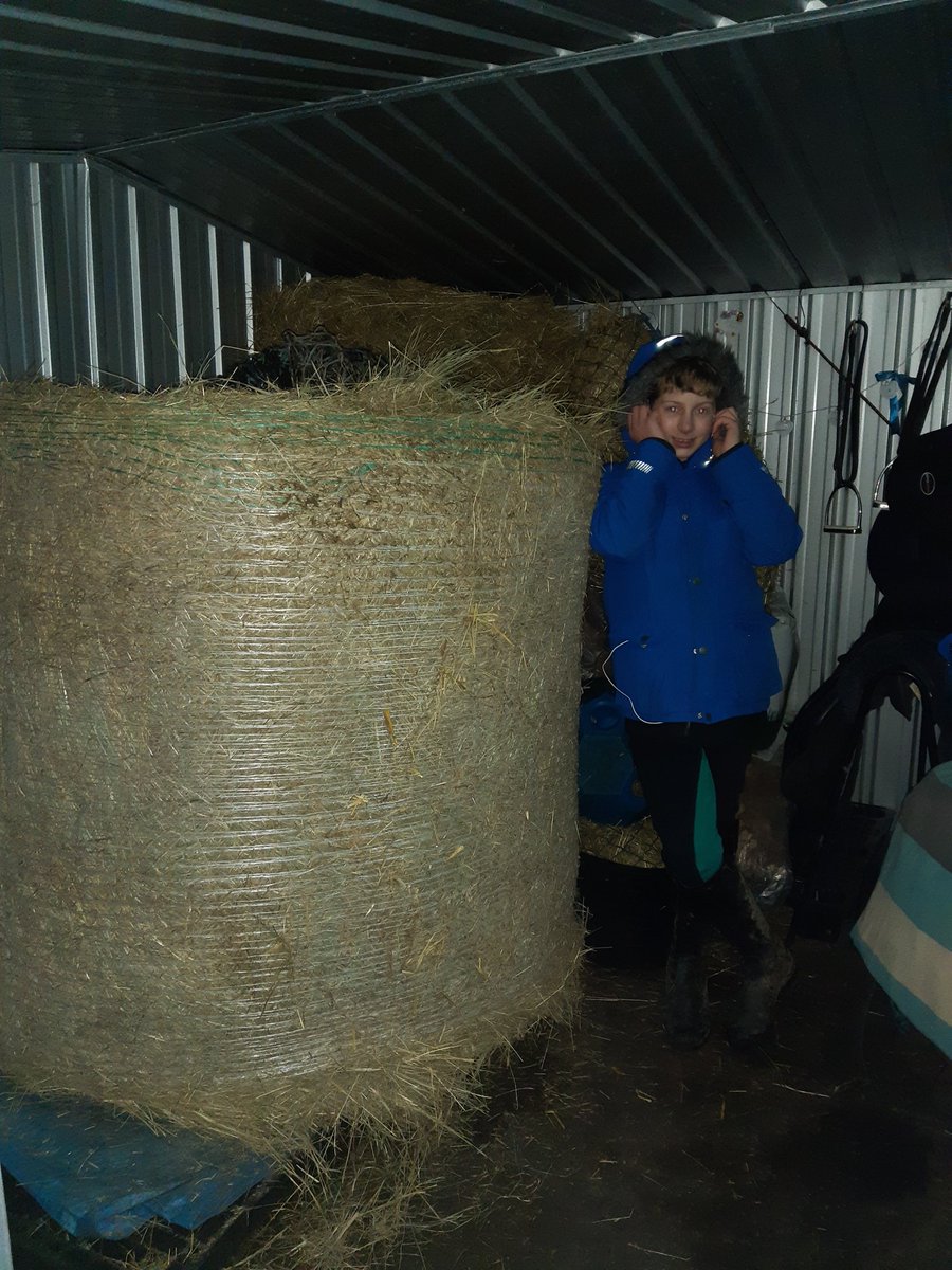 KjbPony's tweet photo. When you miss your usual delivery order and have to opt for something new! 🤦‍♀️🤣 Tight squeeze lol #hay #roundbale #horsechathour #equestrianlife #irishcob #ponyhour https://t.co/l7WMOm1Ebr