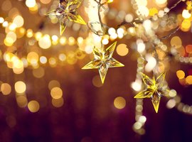 Brein Support is gesloten tijdens de #kerstvakantie van 23 december 2019 t/m 3 januari 2020. Wij wensen u fijne feestdagen!