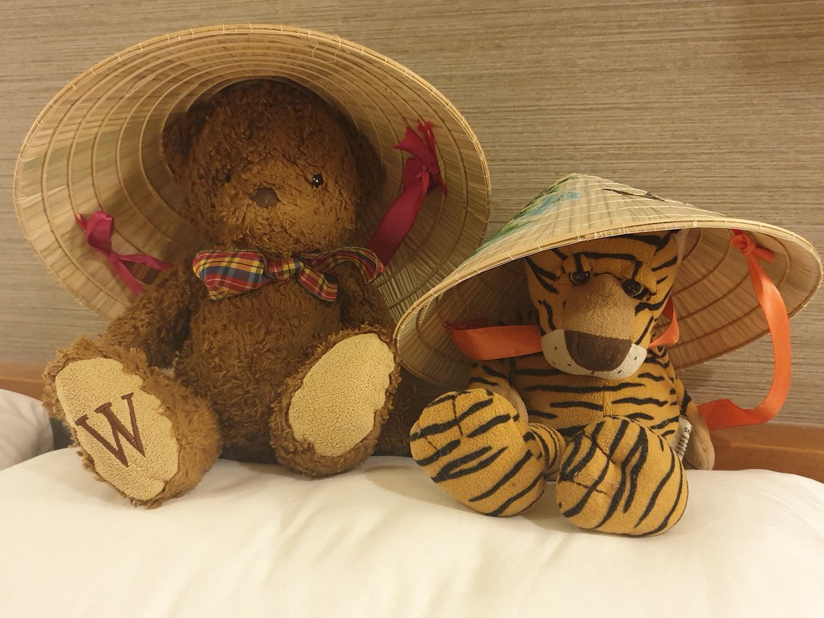 Willie and Fergus touring Vietnam and having a ball #lifeofbob #Vietnam #cruise