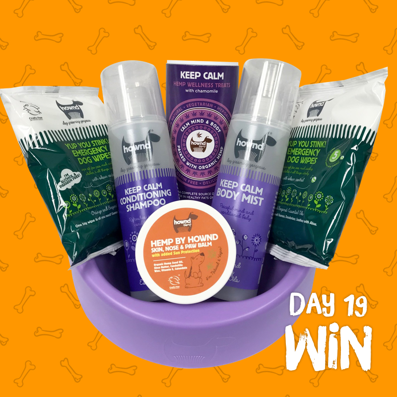 CanineCottages's tweet photo. A very Canine Christmas #competition - Day 19: We're giving away a hamper of goodies worth over £35 from @DogsLoveHownd!

To #win, simply RT this post and FOLLOW our Twitter page!

Ts&amp;Cs apply. Comp ends 01/01. https://t.co/B4ZI4zmrXV
