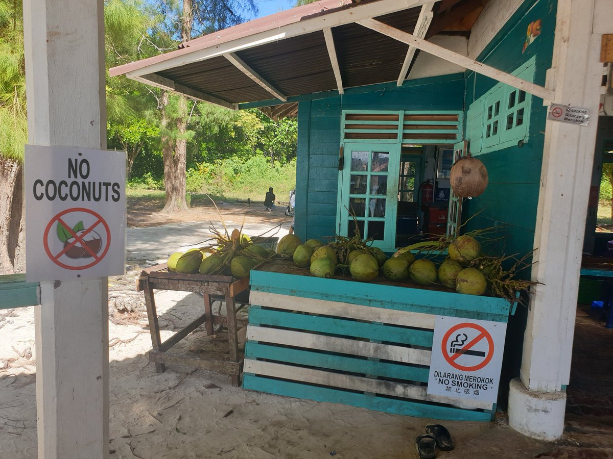 Coconuts or No Coconuts..?? #coconuts #youdecide #Malaysia