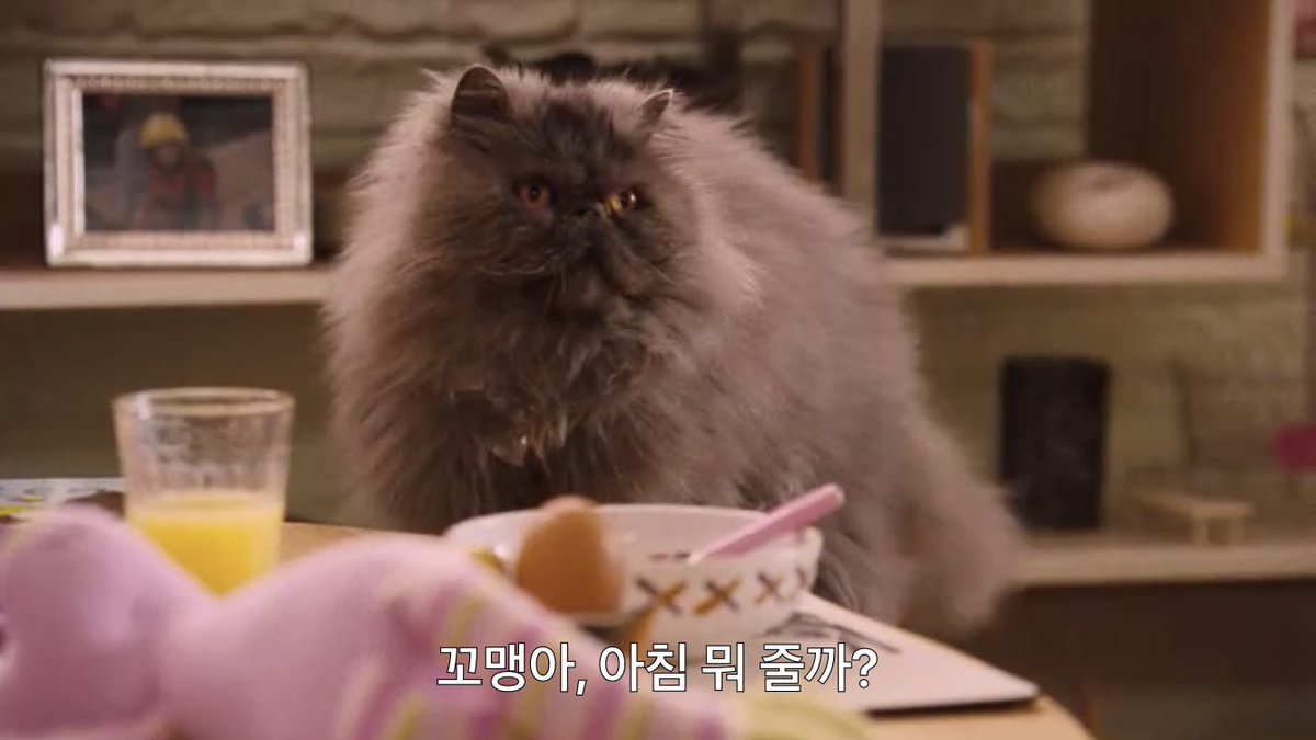 오늘 본 하이틴 영화 나는 조지아의 미친 고양이(제목 번역이 왜 이모양인지 다 보고도 몰르겟음) 회색먼지털 앵거스ㅠ 하여튼 개랑 고양이 나오는...