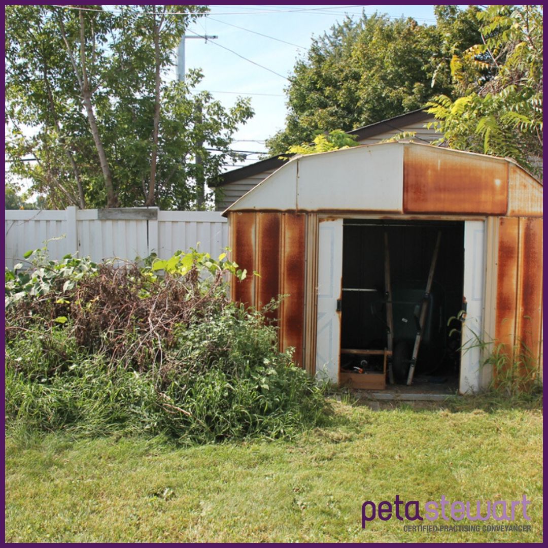 PetaStewartCPC's tweet photo. Simple, quick and sure-fire ways to get your yard ready to present to your guests.

Click to get going on your garden transformation now. 

https://t.co/9jICEaYfL2 https://t.co/PA9VcIGrEL