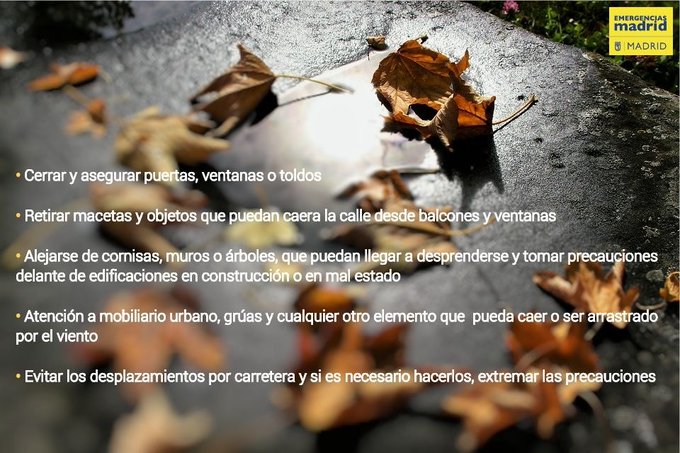 Ver imagen en Twitter