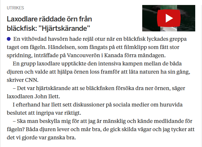 AEskilsson's tweet photo. KAN vara årets rubrik. https://t.co/lmR7r9WNin