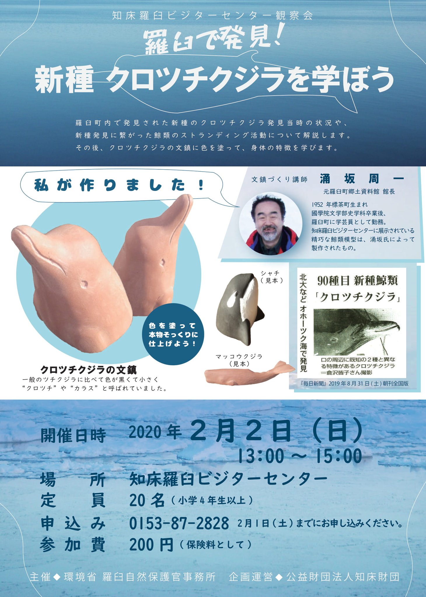Uzivatel 知床羅臼ビジターセンター Na Twitteru 2012年に羅臼町の海岸に死体として打ち上げられ 漁師さんや研究者の努力により 今年の夏に新種と発表された クロツチクジラ について学びませんか 今回の新種発見につながった ストランディング についても解説