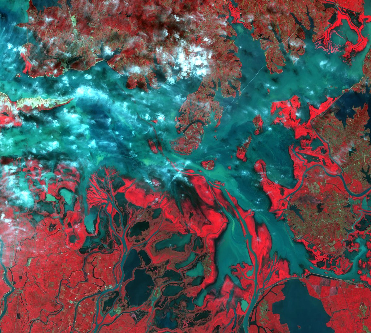 GEOSecretariat's tweet photo. Are you coming to #GEODataWeek in Beijing?
Don't forget to register by Dec. 31 here: https://t.co/rDhtaMY03O
π· @NASA Terra spacecraft shows Poyang Lake, one of #China's largest freshwater lakes. https://t.co/8C04yBoUsJ