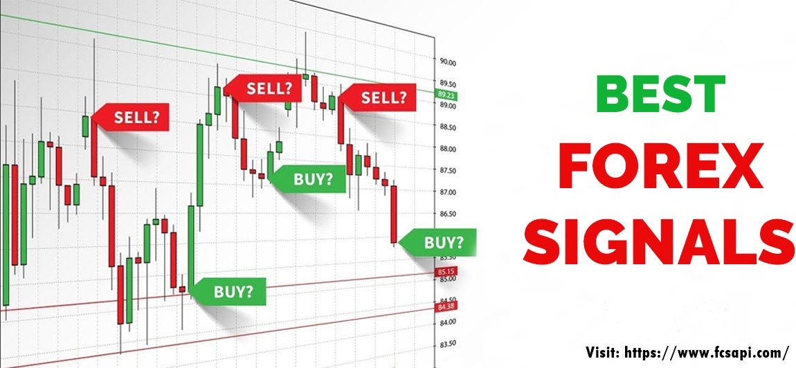 Forex signal provider forum Forex signal provider forum forex ea builder mt4 platform