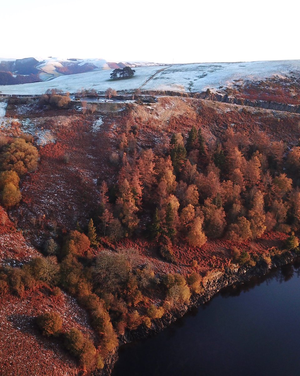 “We NEED nature because... “ let’s all shout about it today! Why do we need nature? What does it mean to us? For me it means freedom, feeling alive, and feeling free to be myself. Because nature doesn’t judge #OurFutureWales #weNeedNature <a href="/wwfcymru/">WWF Cymru 🌏</a> <a href="/WelshGovernment/">Welsh Government</a>