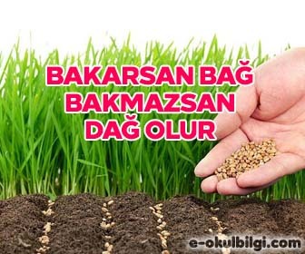 Bakarsan bağ, bakmazsan dağ olur atasözü kompozisyon: ift.tt/2Z258YE #eokul