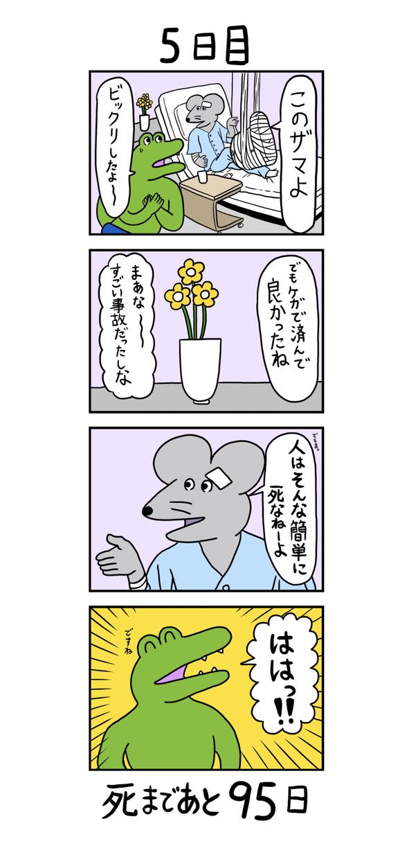 きくちゆうき on X: きくちゆうき on X: