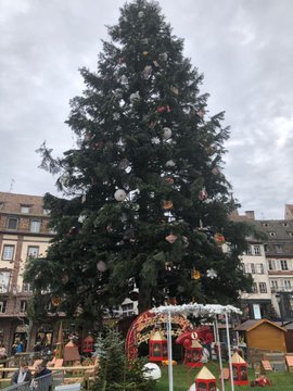 View image on Twitter