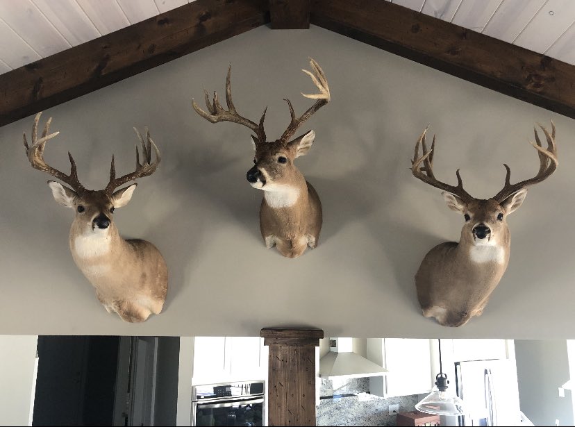 Fantastic customer review!                             
These bucks were hung with 3 of the 5 Timber-Loc hangers that I purchased from you.  I am spreading the word of what a value the Timber-Loc hangers are. —Terry B.                      TimberCreekOutdoors.com