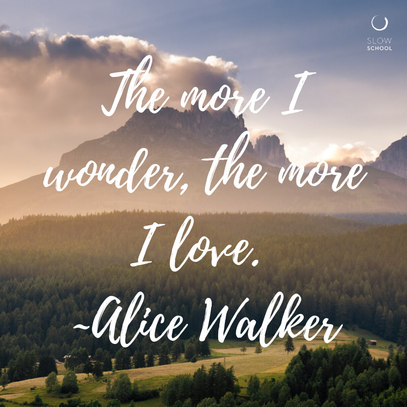 SchoolSlow's tweet photo. What are the things that make you wonder? Nature, creativity, humanity, or just being? 

#marvel #miracle #alicewalker #life #love #selfcare #quote #reflection #mindful #now #thursdaythought #thursday #evening #writer #poet https://t.co/DKRQKoEqbg