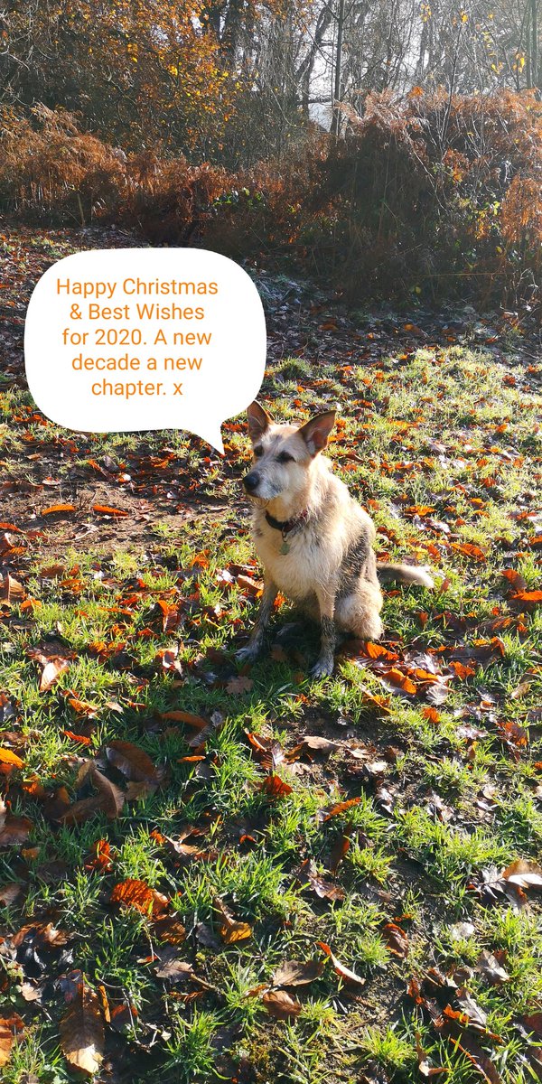 Enjoy the festivities #MerryChristmas #Happy2020