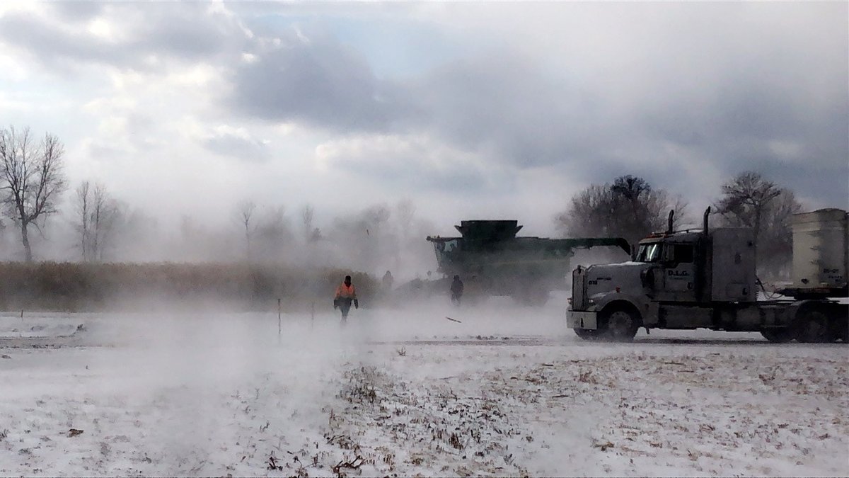 Central_ON_FS's tweet photo. The Bringing You What's Next In Your Field North Plot came off yesterday- definitely not in ideal conditions. Thanks to Chris and the Elmvale staff for taking off the plot, and to Kayle for capturing the essence of a wintry harvest!! #BYWN19 #harvest19 #FSproud https://t.co/vc0yTUZoK2