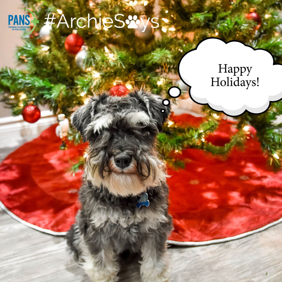 PharmacyNS's tweet photo. #ArchieSays 🐾 to get your prescriptions refilled in time for the holidays. Pharmacies are open evenings, weekends and holiday hours. #PANS #ReThinkPharmacy #HappyHolidays https://t.co/wYlmaxkVfx
