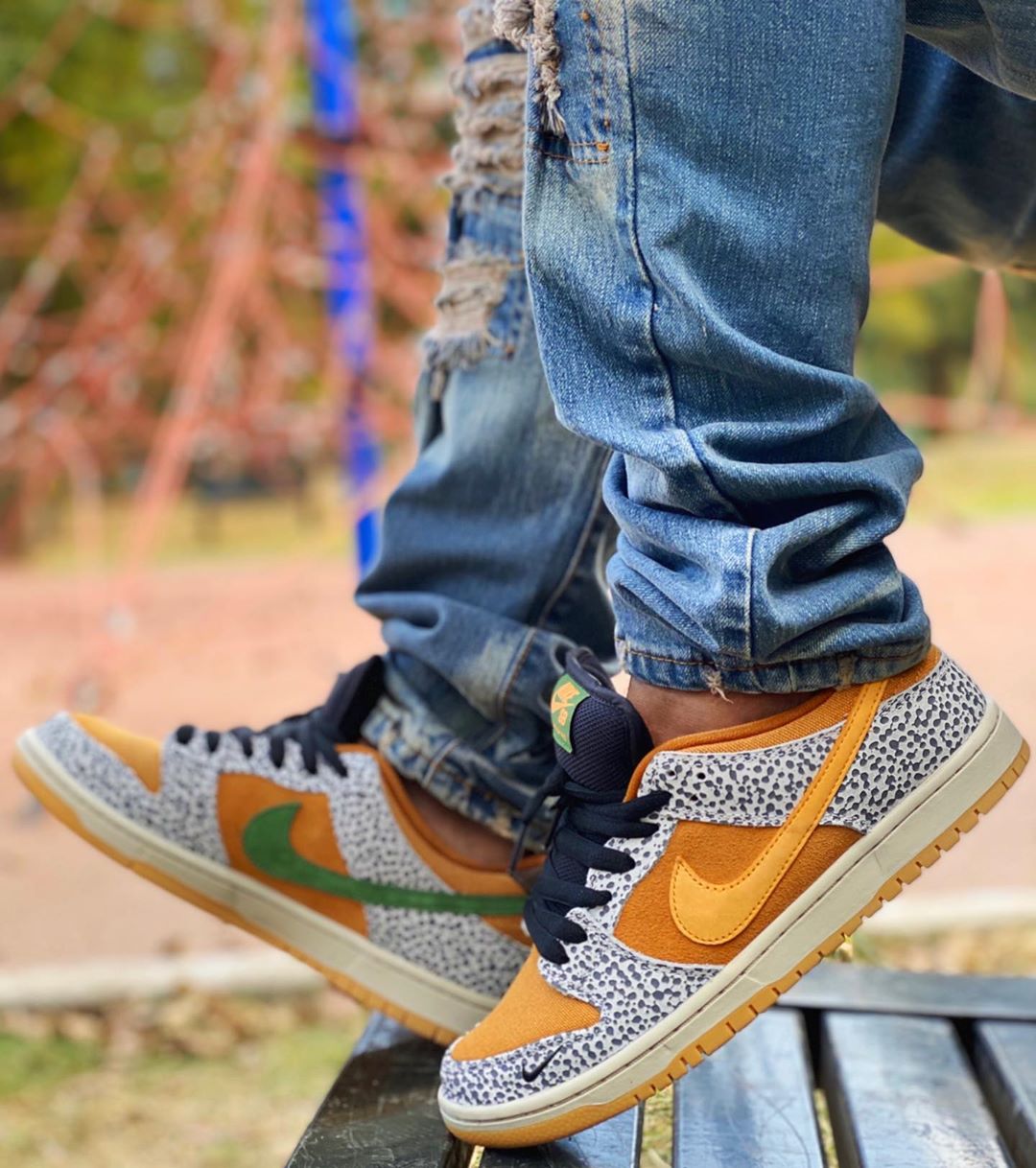 Nike SB Dunk Low 