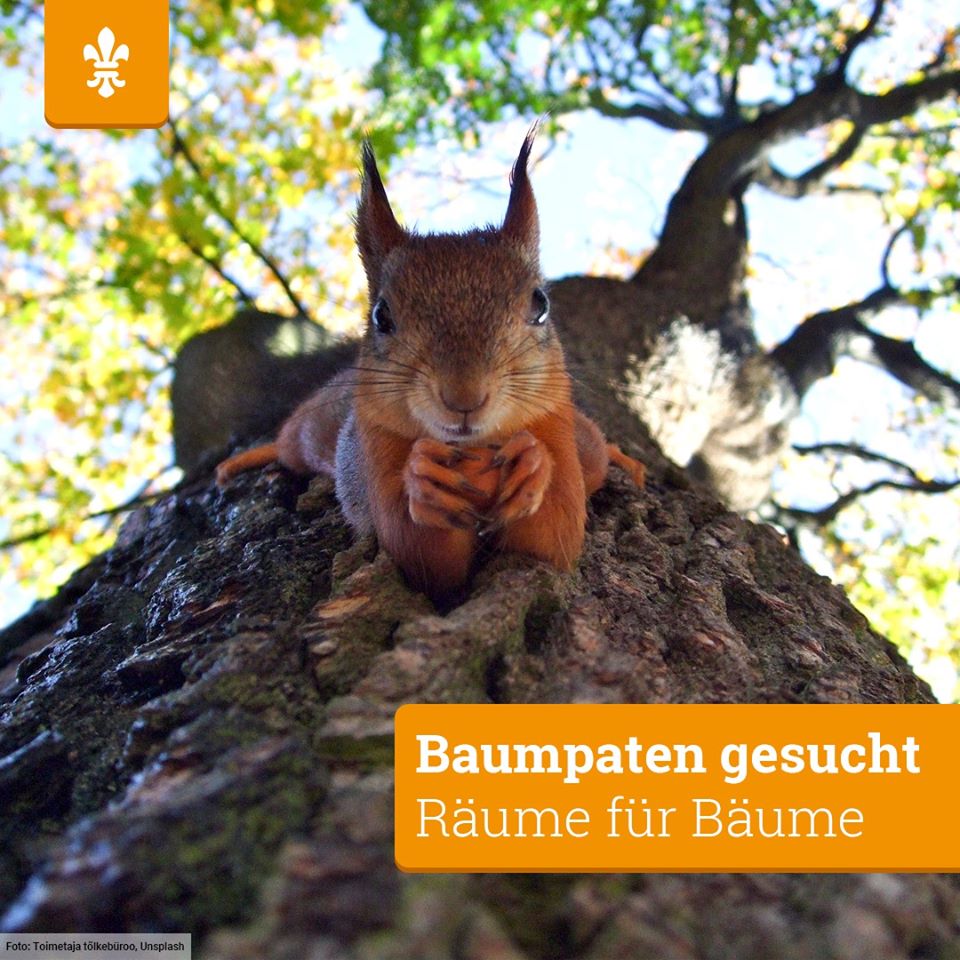 Stadt_Wiesbaden's tweet photo. 🌲🌳🌴 Mögt ihr Bäume? Falls ja, dann aufgepasst: Das Umweltamt sucht zusammen mit dem Jugendparlament Baumpaten. Als Pate helft ihr frisch gepflanzten Bäumen die ersten Jahre gut zu überstehen. ➡️ https://t.co/zqNE0czWxN
#baum #baumpate #Wiesbaden https://t.co/UXILSXyAS3