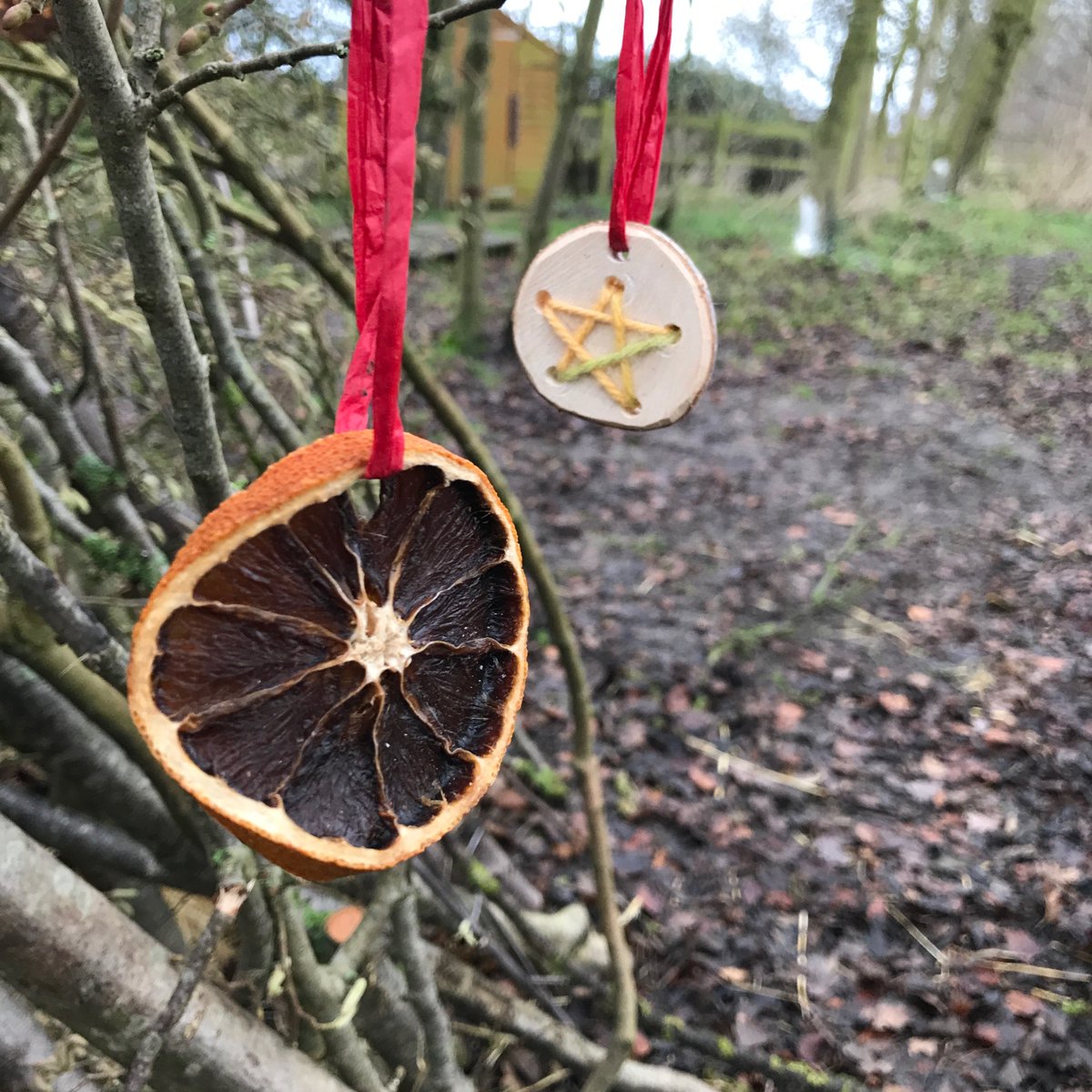 Forest School Christmas Special at Staunton Montessori