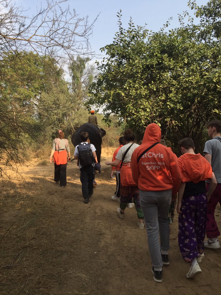 A lovely afternoon walking with the elephants 🐘🐘.