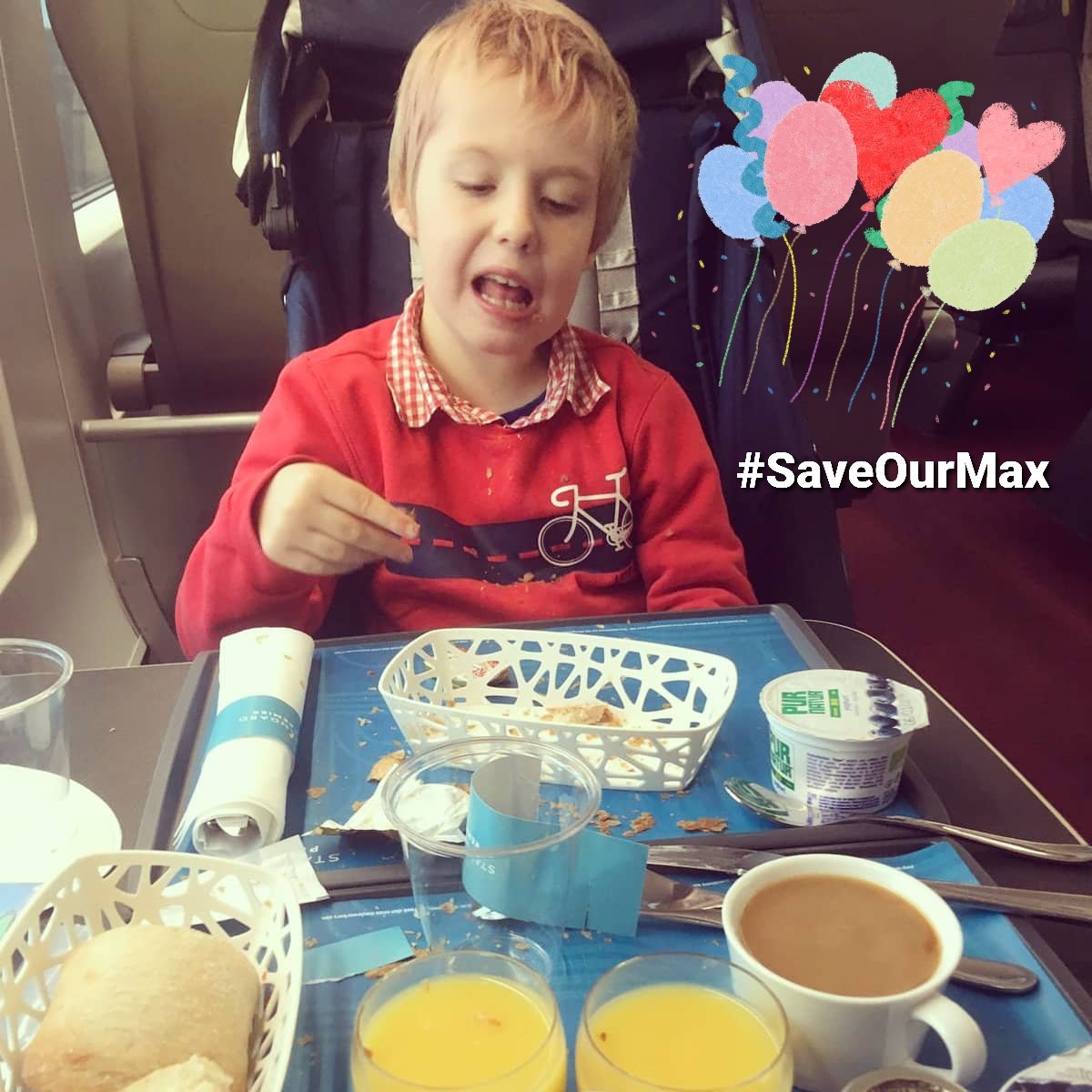 #saveourmax tweet media