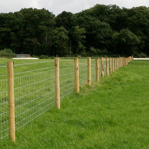 StarCarrAllot's tweet photo. 🔨 Fencers ? Joiners? Contractors? 🔨 

We’re looking for quotes for fencing at our new #allotment site at #wrawby.

35m Open board 2.0m high
20m Post and rail
300m Stock fencing

#fencing #NorthLincs #Brigg #Scawby

Message us if you’re interested !! https://t.co/BpywJUype1