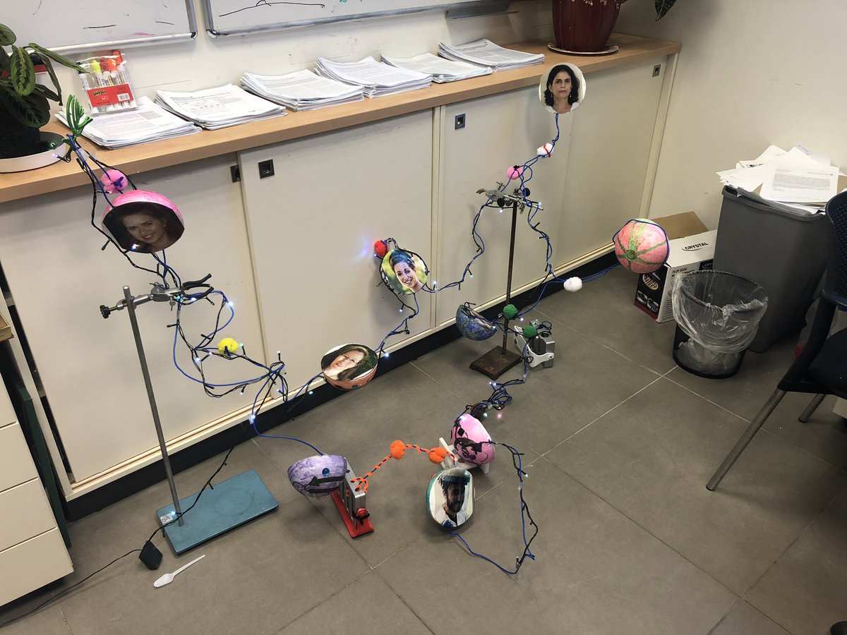 Mandel-Gutfreund Lab tweet media