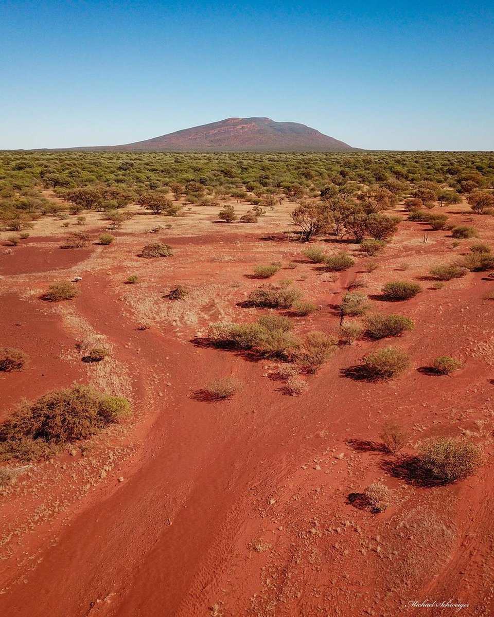 WestAustralia's tweet photo. 😉 Don't be deceived, #MountAugustus is actually far larger than it seems in IG/west_aussie_mick's amazing shot of the @Golden_Outback. Mount Augustus is known as Burringurrah to the local Wajarri Aboriginal people and is the largest monolith in Australia! #thisisWA https://t.co/u9b238rCTi