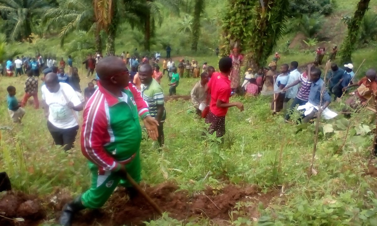 BubanzaCommune2's tweet photo. #Burundi,kuri uyu wa 19/12/2019,buramatari wa @BubanzaProvince @IrNobus yifadikanije n'abenegihugu bo muri komine ya #Musigati mubikorwa rusangi vyo gukingira ibidukikije muguca imikobeko k'umutumba wa #kayange muri wamugambi w'igihugu#Eweburundi urambaye. https://t.co/vOhFAm1hJr