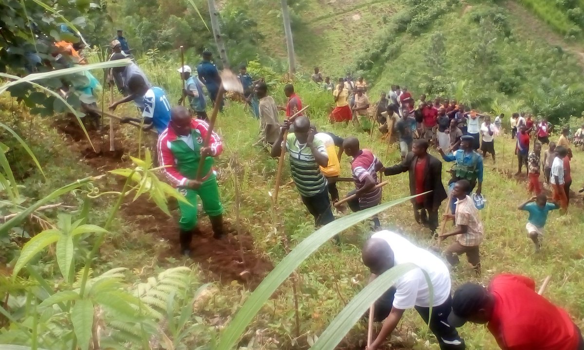 BubanzaCommune2's tweet photo. #Burundi,kuri uyu wa 19/12/2019,buramatari wa @BubanzaProvince @IrNobus yifadikanije n'abenegihugu bo muri komine ya #Musigati mubikorwa rusangi vyo gukingira ibidukikije muguca imikobeko k'umutumba wa #kayange muri wamugambi w'igihugu#Eweburundi urambaye. https://t.co/vOhFAm1hJr