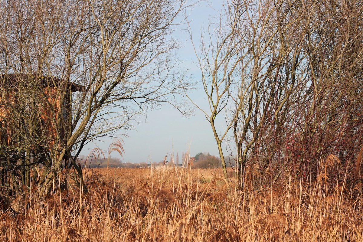 AmyHobson01's tweet photo. Yesterday @suffolkwildlife https://t.co/VqvXIfCqdU