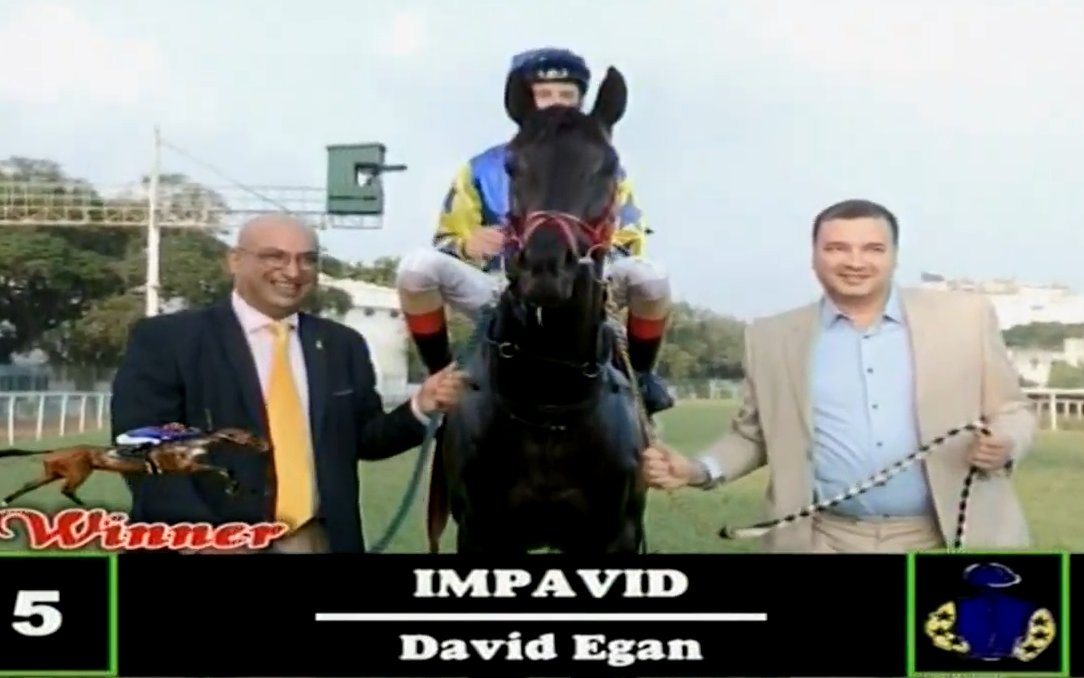 indiaracedotcom's tweet photo. #IMPAVID by Air Support(USA)-Polenta (IRE) wins The South India 2000 Guineas (Gr.2), trained by @arjunmangalorka and ridden by @DavidEgan99 and owned by @Nevill_ bred at @KunigalStudFarm https://t.co/s85HJ0KSud