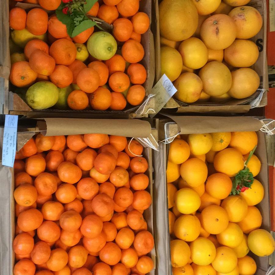 bukoop's tweet image. Mersin&apos;deki üreticimiz Huriye Kara&apos;dan limon, portakal ve mandalina Barakaya geldi. Huriye hanım bir gübre uzmanı ve aynı zamanda portakal, avokado ve limonu bir araya getirerek oluşturduğu yeni tatlar, Avoport ve Narentat ile meşhur; mersinimecehaber.com/mersin/mersind…