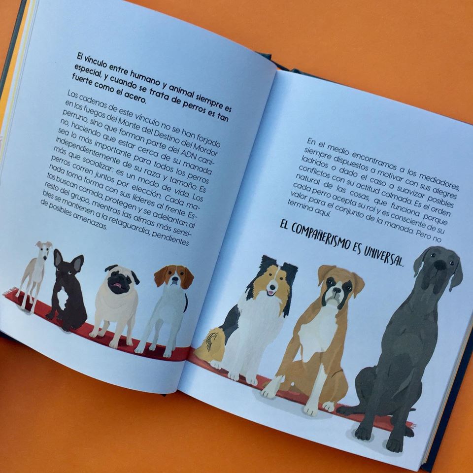 Redbook_Ed's tweet photo. ¿Quién por aquí tiene perros? 🐶 ¡Este libro es para vosotros! “Keep calm y aprende de los #perros” revela diferentes características caninas que puedes adoptar para vivir una vida más #feliz, más saludable y más perrunamente activa. 🐕 👌
#keepcalm #libroamigo #libroregalo #dog https://t.co/os2gOYUOqG
