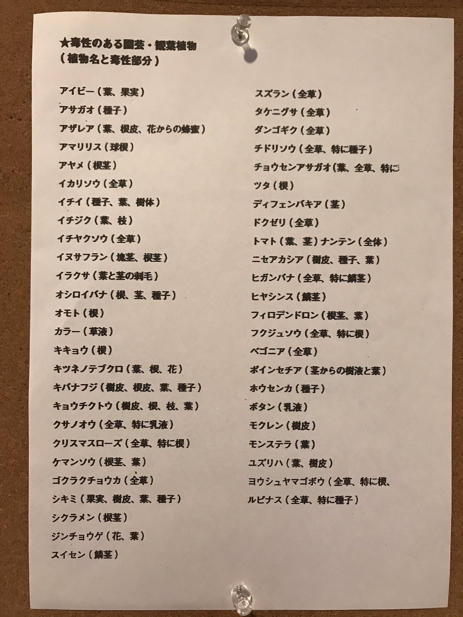 Andante Jel 犬猫が口にしたら危険な植物 昨日 動物病院に行ったら 張り紙してありました ありがたい Cat Dog 犬猫 猫 犬 毒のある植物 危険な植物 T Co T7fidia5uv Twitter