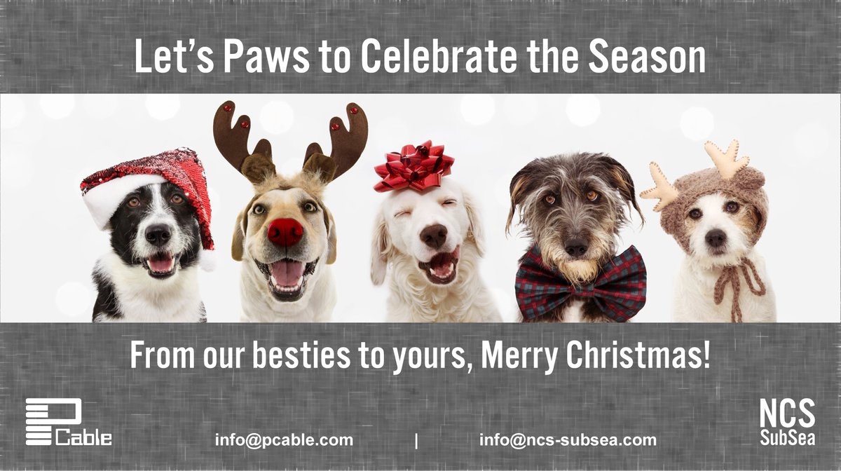 NCS_SubSea's tweet photo. @NCS_SubSea extends our warmest wishes to you and yours this holiday season.

#Christmas #Holiday #HappyHolidays #HappyHolidays2019 #MerryChristmas #NCSSubSea #PCable #SeasonsGreetings #Dogs #Pets https://t.co/qnkW1u7bnx