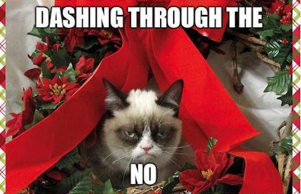 CplNI's tweet photo. Even the grinches among us have had to succumb to the Christmas spirit and carols now! Are you dreaming of a white Christmas? Or dreading the return to porridge in January?  

If you're looking for a move, we can help.
e: belfast@cpljobs.com t: 02890725600 https://t.co/1kQk9ElavH