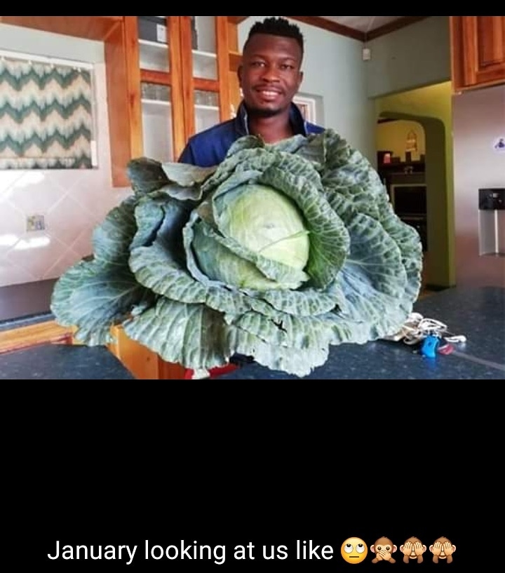 PAN_NEMZ tweet picture