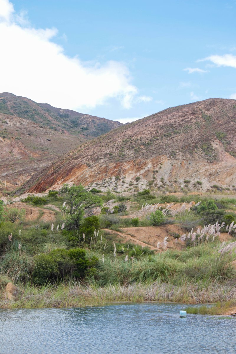 Terrojo (@terrojo_) on Twitter photo 