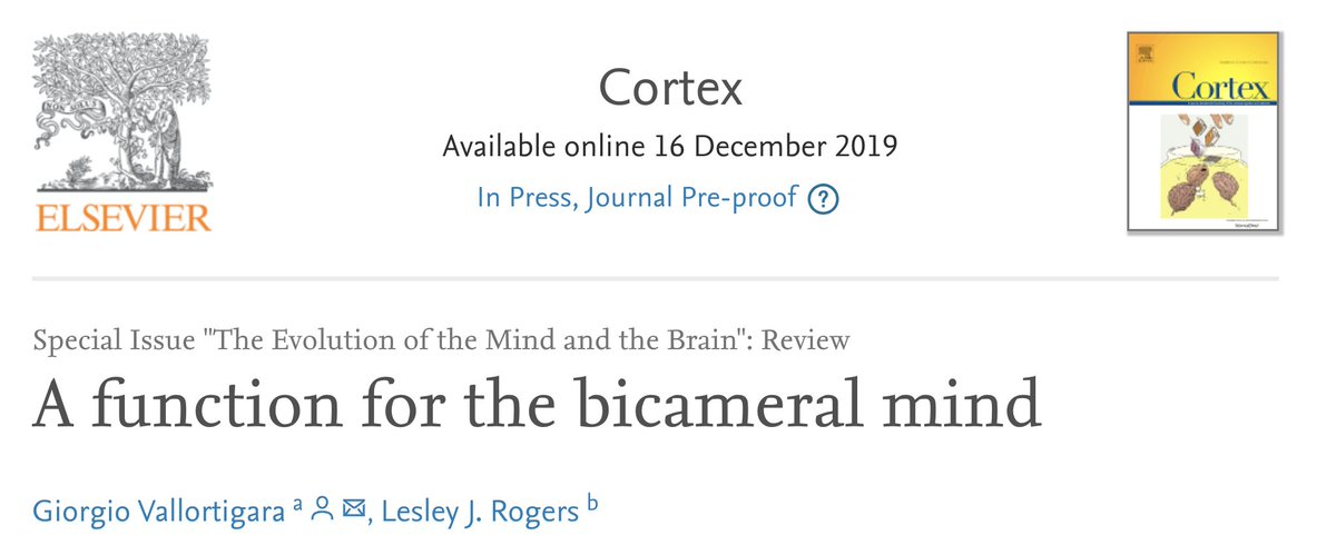 gVallortigara's tweet image. A function for the bicameral mind 
#brainasymmetry #lateralization #laterality #leftbrain #rightbrain
sciencedirect.com/science/articl…