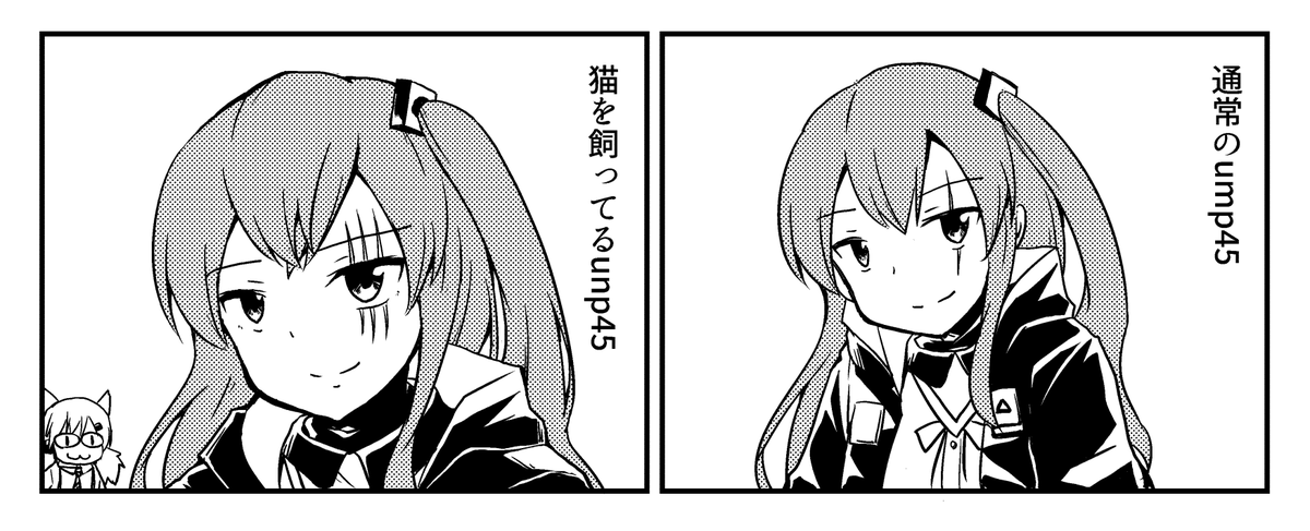 通常のump45と猫を飼っているump45 