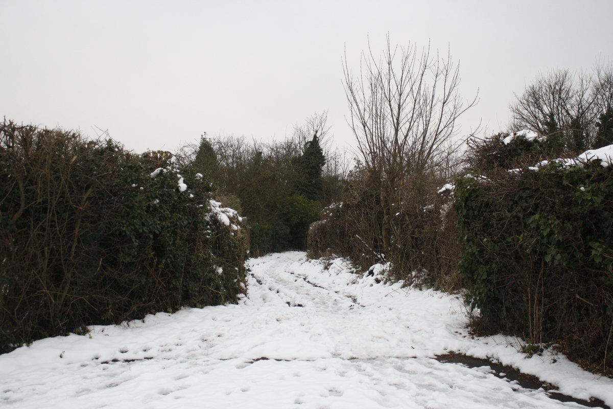 Join us on Thursday 2 January for some fresh air on a wildlife &amp; heritage walk around local parks and gardens to stretch your legs after the new year eventbrite.co.uk/e/new-years-wa… ❄️ #thingstodo #Nottingham