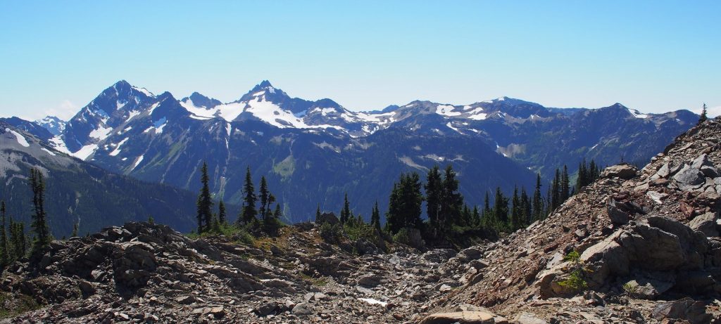 Read my latest guest blog post on the WNPF Blog, To The Parks! #climatechange #reconnect #photography #nature #thinkbiomimicry thinkbiomimicry.com/2019/12/19/rec…