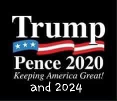 fitchd78's tweet photo. @realDonaldTrump if Trump is not impeached by Senate. His current term is nullified and is eligible to run for 2 more terms. #trump2024 https://t.co/g9xDPblDON